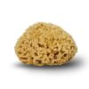 Honeycomb badesvamp