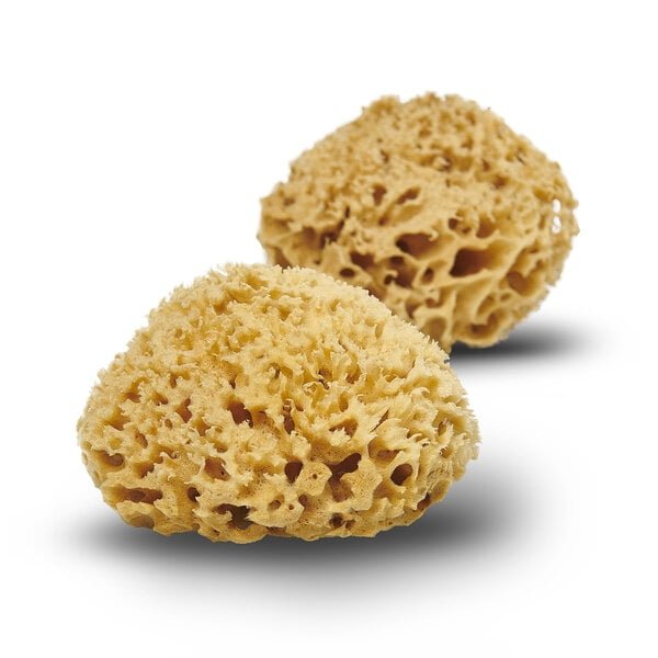 Honeycomb naturbadesvamp Honeycomb naturbadesvamp