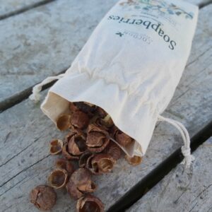Organic Laundry Sæbebær (Vaskenødder)
