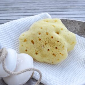 Cocoon Silkesvamp fra Middelhavet