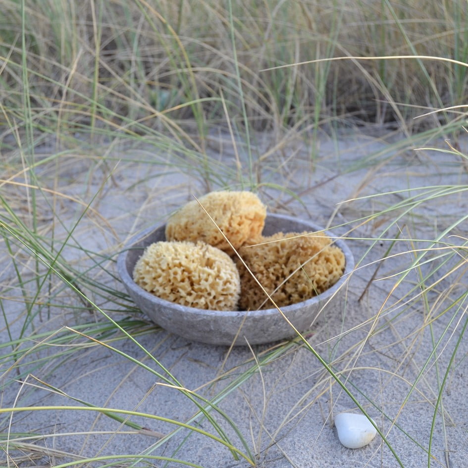 Badesvampe fra Middelhavet, Honeycomb Badesvampe fra Middelhavet, Honeycomb