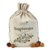 Sæbebær/sæbenødder/soap nuts/soapberries