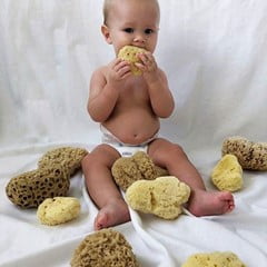 Baby med natursvampe