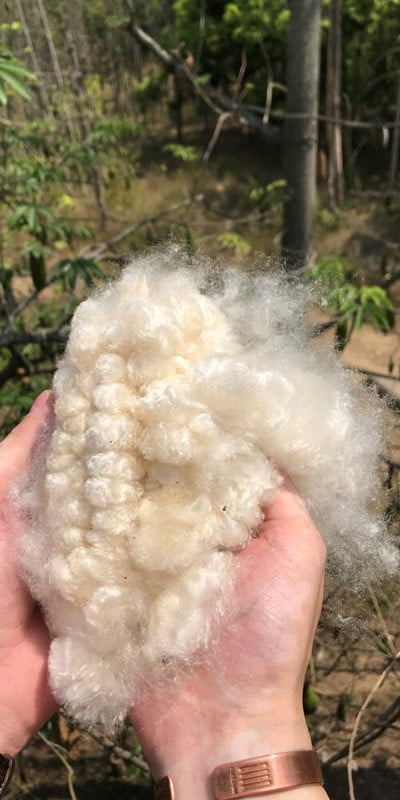 Kapokfiber