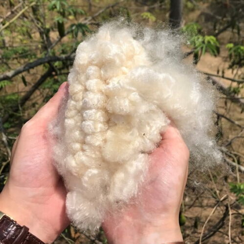 Kapokfiber